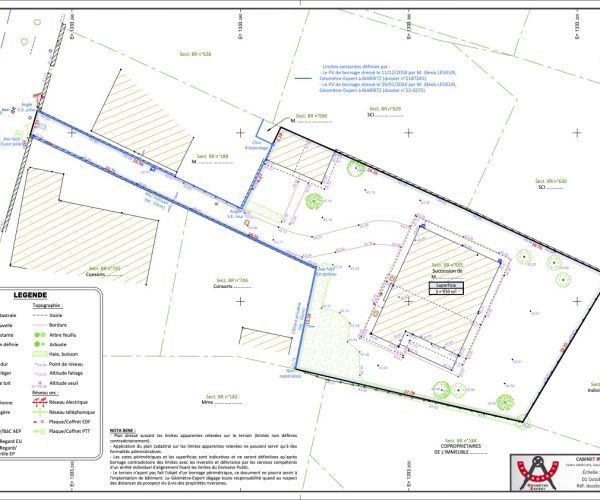 Topographie plan jardin 2